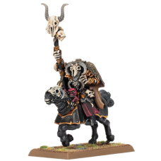 Sorcerer of Chaos on Chaos Steed