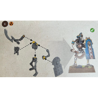 TOMB KINGS SKELETON champions