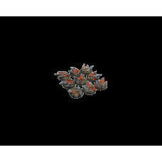 Chaos Bases Round 30mm  (5 pieces)