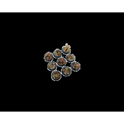  Troglodyte Bases Wround 30mm (5 pieces)