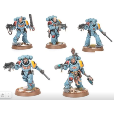 Grey Hunters x 5