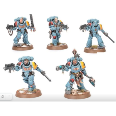 Grey Hunters x 5