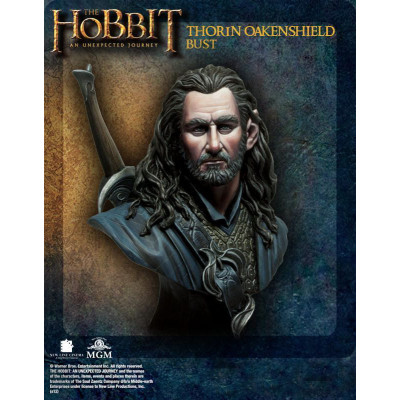 Hobbit - Thorin Oakenshield
