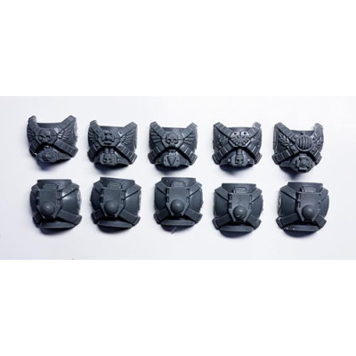 Torsos - Vanguard Veteran Squad