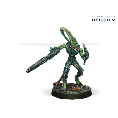 Shasvastii Cadmus