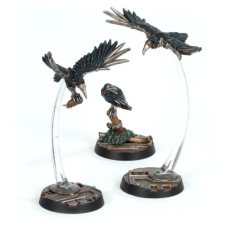 Cawdor Sheen Birds