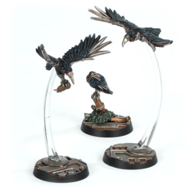 Cawdor Sheen Birds
