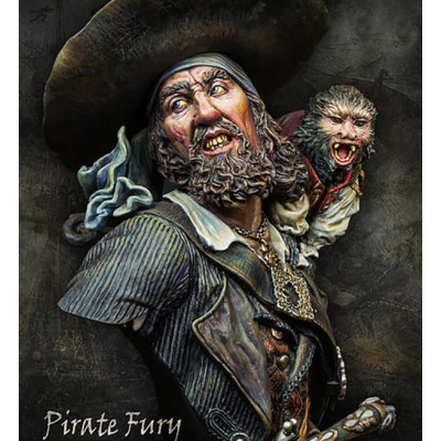 Pirate fury