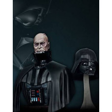 Darth Vader bust