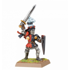 Bretonnian Paladin with Sword and Shield