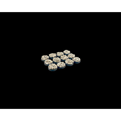 Skulls Bases Round 25mm (5 pieces)