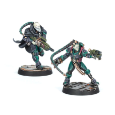Van Saar Champions in Mesh and Flak Armour
