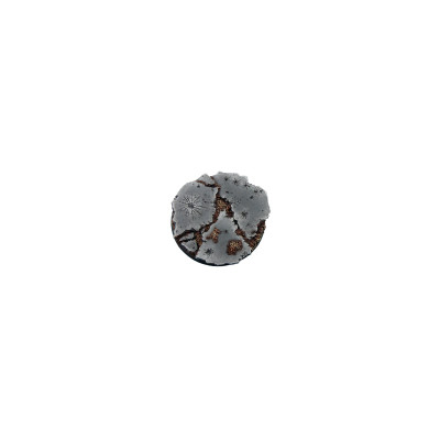 Ruins Bases Round 60mm (1 piece)