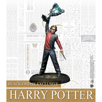 HARRY POTTER TROPHY