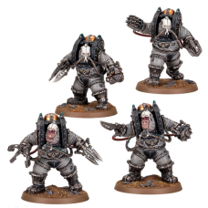 Charonite Ogryn Section