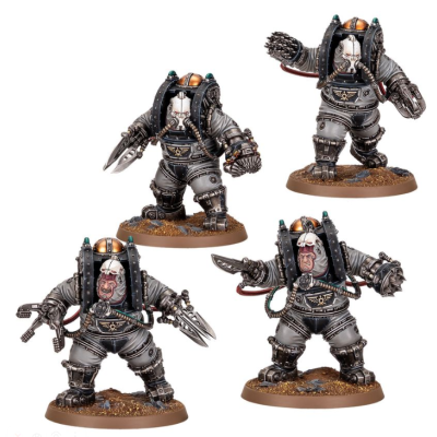Charonite Ogryn Section