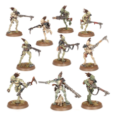 KROOT CARNIVORES