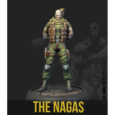 The Nagas