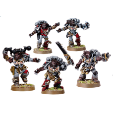 Space Wolves 13th Company Wulfen
