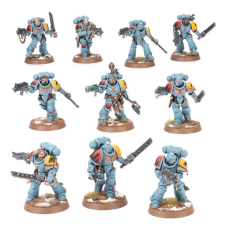 Grey Hunters x 10