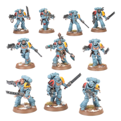 Grey Hunters x 10