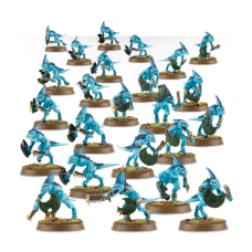 Skinks 12pcs.