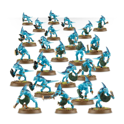 Skinks 12pcs.