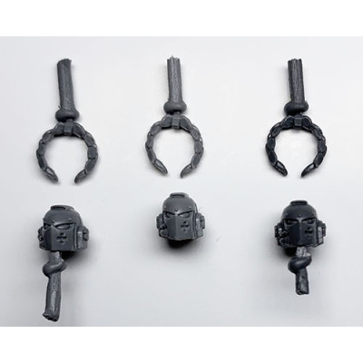 The Emperor's Champion - Heads