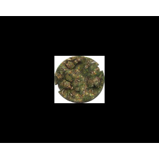 SWL Forest Bases 100mm Round (1 piece)