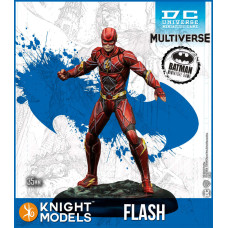 Flash (Ezra Miller) 