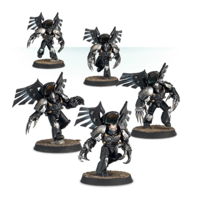 Raven Guard Dark Fury Assault Squad