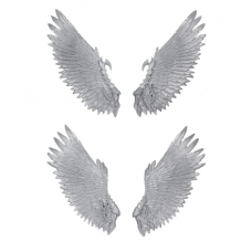 SCOURGES WINGS 1