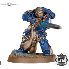 Primaris Company Champion