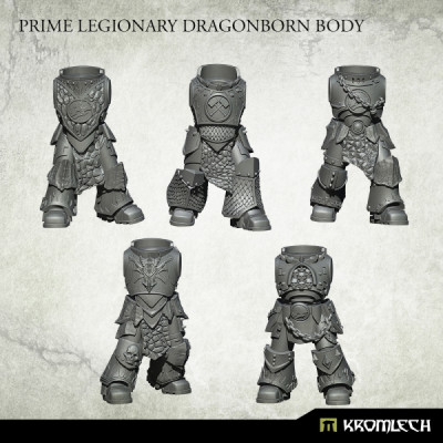 Prime Legionary Dragonborn Bodies