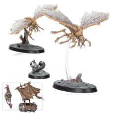 Ashwing Helamites