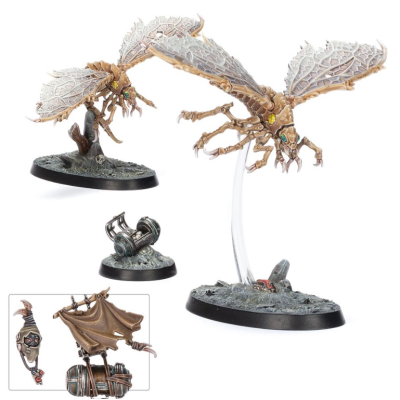 Ashwing Helamites
