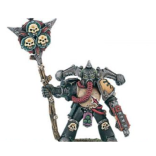 Plague Marine Icon Bearer