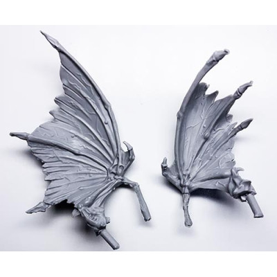 Argel Tal - Wings