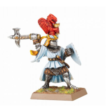 Paladin with Hammer and Shield