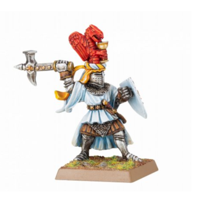 Paladin with Hammer and Shield