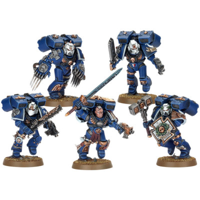 Vanguard Veteran Squad