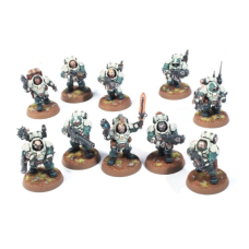 Hearthkyn Warriors (10pc)