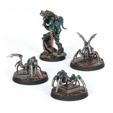 Van Saar Champion in Carapace Armour with Cyberachnids