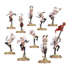Witch Aelves x 5