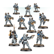 Solar Auxilia Veletaris Storm Section