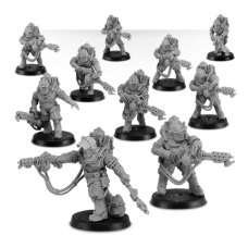 Solar Auxilia Flamer Section