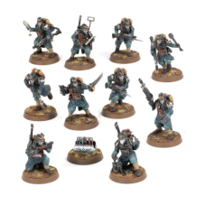 Veteran Guardsmen