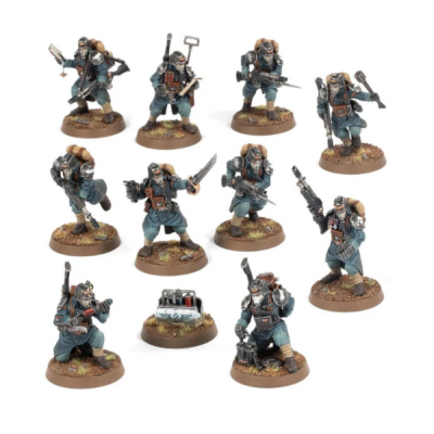 Veteran Guardsmen