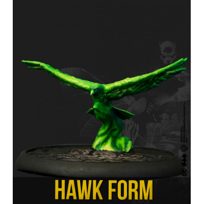 Hawk Form