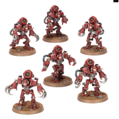 Ursarax Cohort